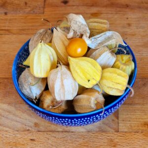Physalis (mochyně peruánská) - 80g